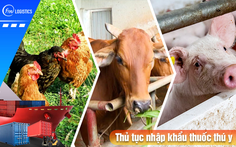 Thu-tuc-nhap-khau-thuoc-thu-y