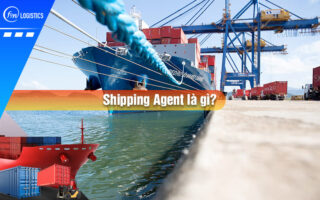 Shipping-agent-la-gi