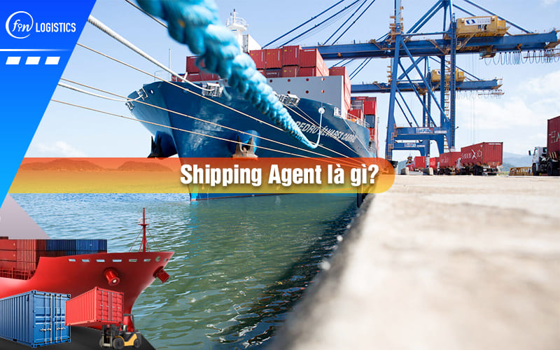 Shipping Agent là gì? Vai trò của đại lý tàu biển trong vận tải hàng hóa đường biển