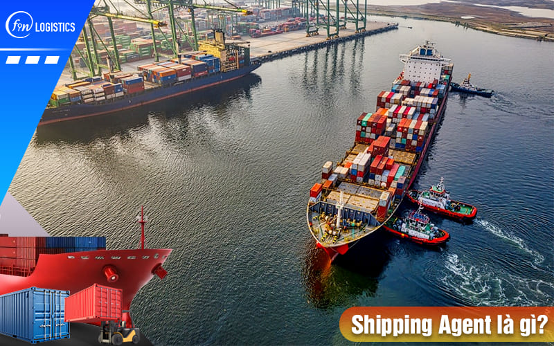 Shipping Agent là gì? Vai trò của đại lý tàu biển trong vận tải hàng hóa đường biển 5 Shipping-agent-la-gi