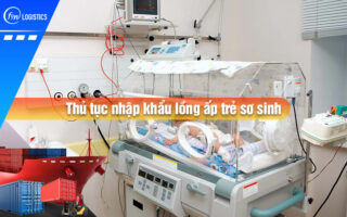 Thu-tuc-nhap-khau-long-ap-tre-so-sinh