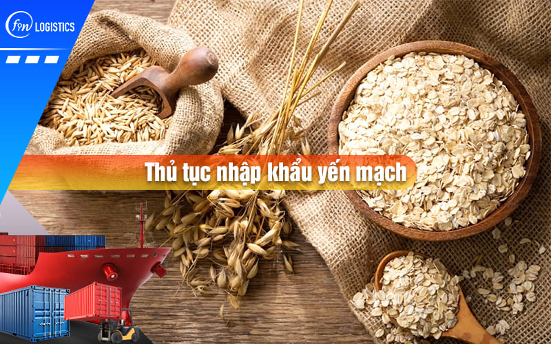 Cập nhật chi tiết các bước thủ tục nhập khẩu yến mạch nhanh chóng, đúng quy định