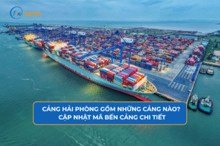 cang hai phong Finlogistics https://www.finlogistics.vn