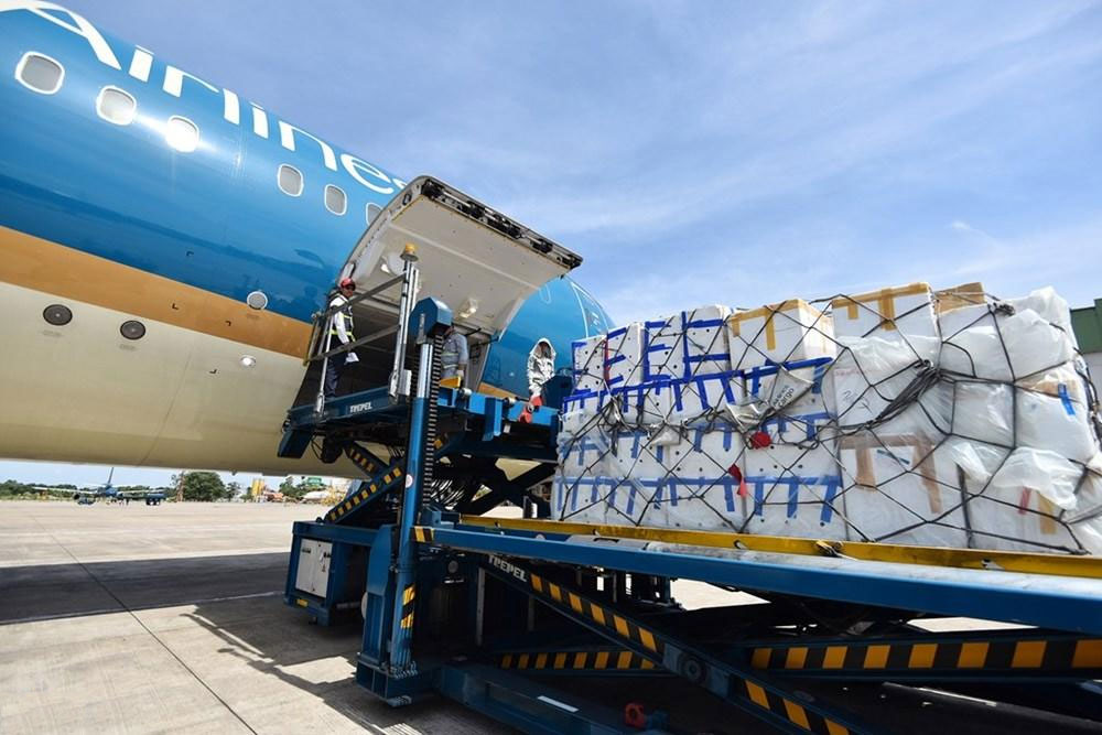 nhap khau hang hoa la gi Finlogistics https://www.finlogistics.vn