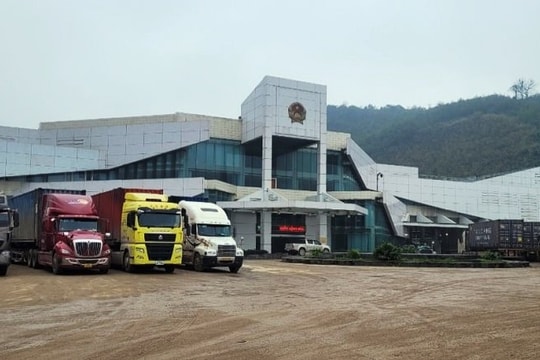 xnk cautreo1 Finlogistics https://www.finlogistics.vn