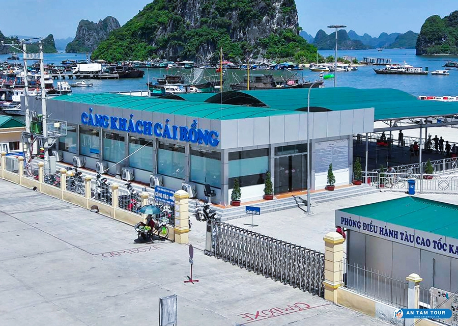 cang cai rong 3 Finlogistics https://www.finlogistics.vn