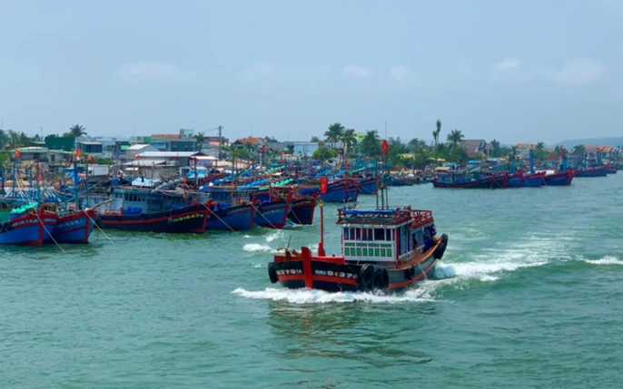 Tổng quan về cảng Sa Kỳ Lý Sơn 4 anh 3 3524 Finlogistics https://www.finlogistics.vn