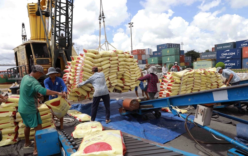 Giải pháp logistics cho doanh nghiệp xuất khẩu nông sản 4 xuat khau gao custom 9769 1 Finlogistics https://www.finlogistics.vn