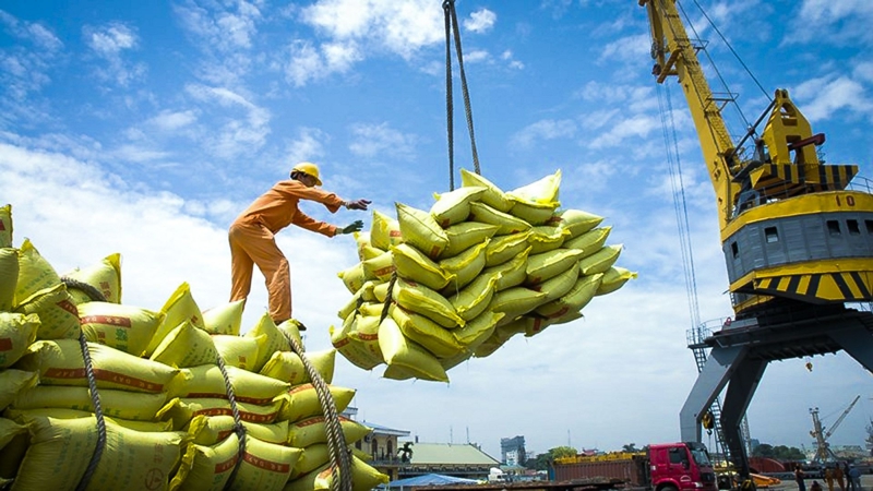 Sản xuất xuất khẩu và gia công khác nhau thế nào? 5 gao 16883980358621122097557 Finlogistics https://www.finlogistics.vn