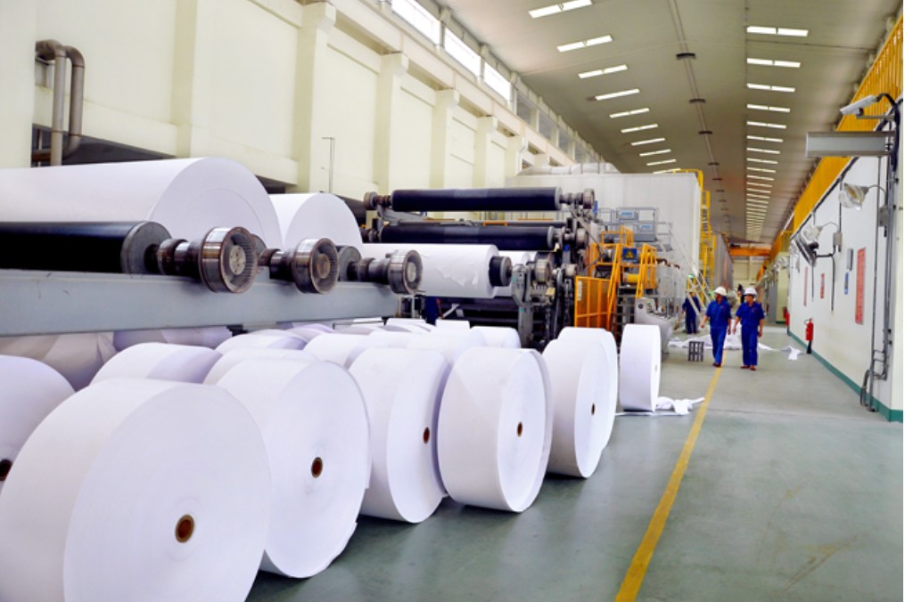 nhap khau giay20241205145703 Finlogistics https://www.finlogistics.vn