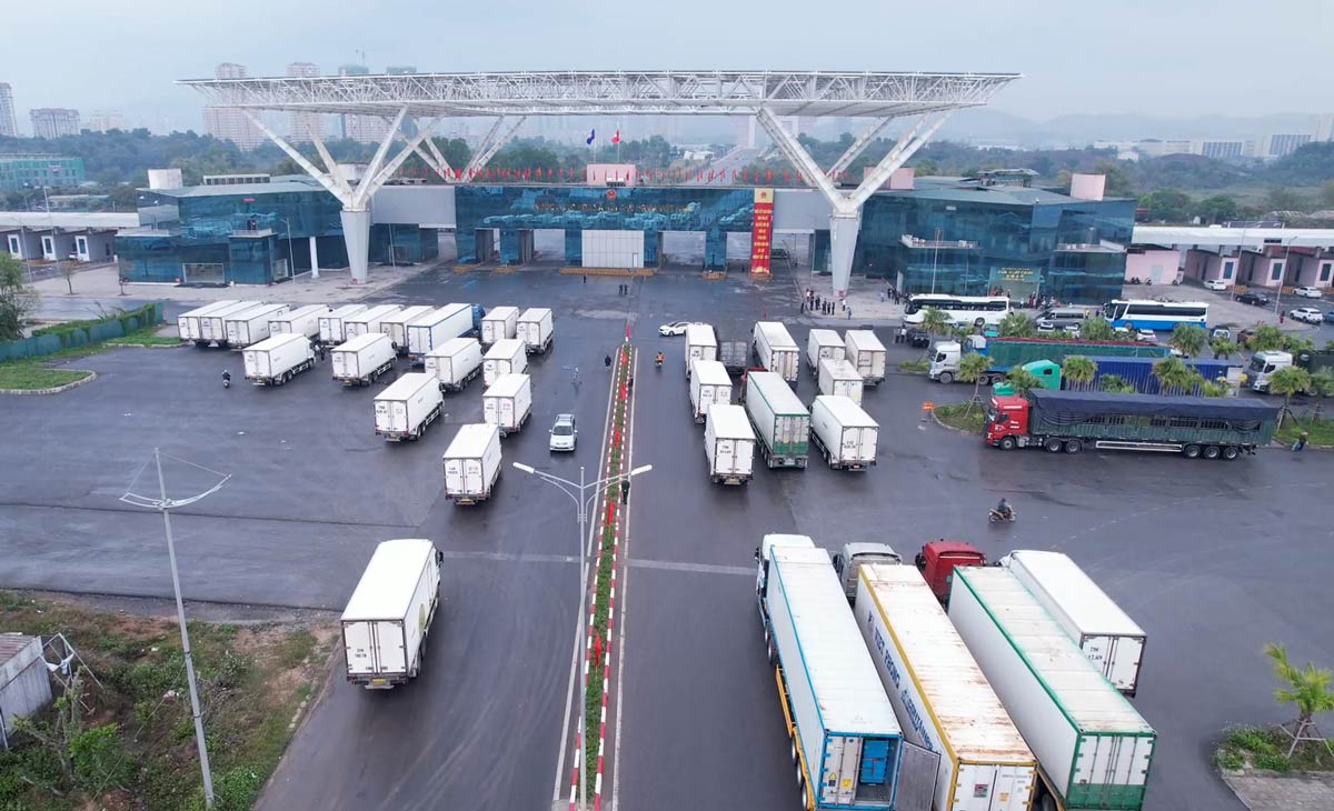 Adfdsfsdfsdgfdgfd Finlogistics https://www.finlogistics.vn